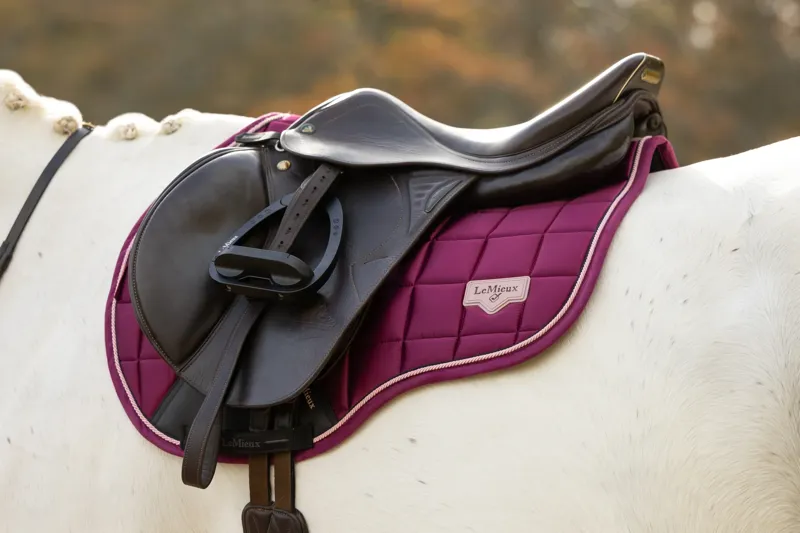 LeMieux Loire Classic GP Square - Blackberry-1