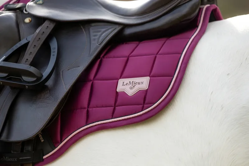 LeMieux Loire Classic GP Square - Blackberry-3