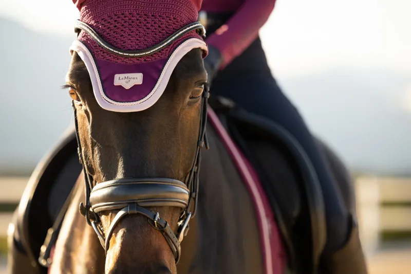 LeMieux Loire Fly Hood - Blackberry-1