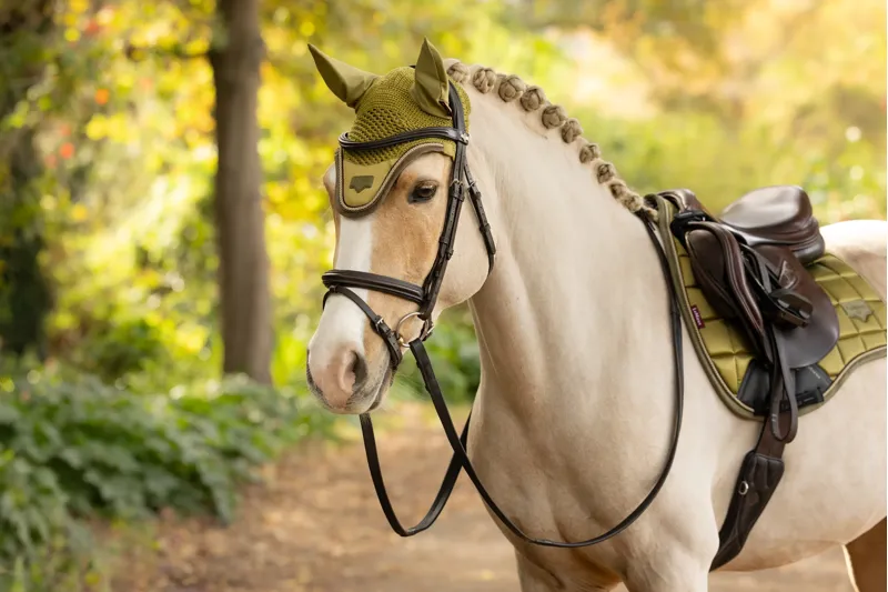 LeMieux Loire Fly Hood - Gooseberry-2