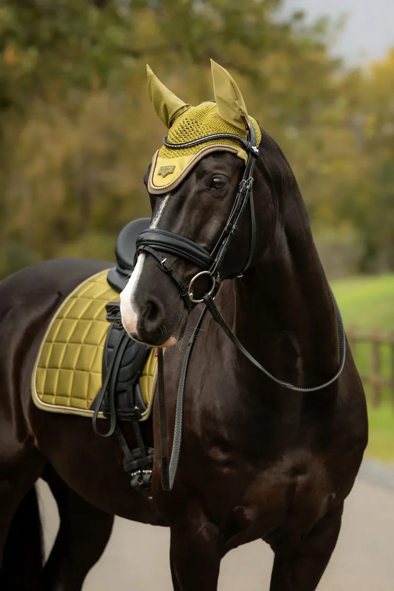LeMieux Loire Fly Hood - Gooseberry-1
