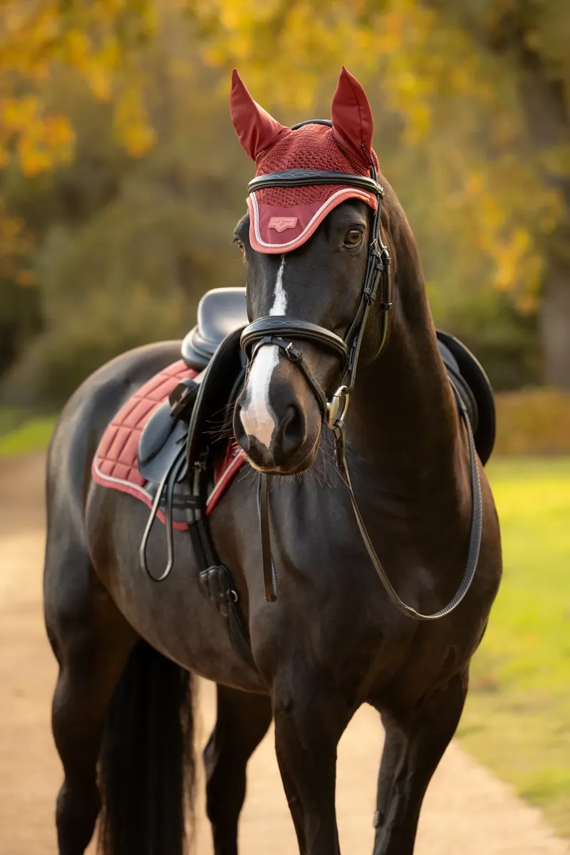 LeMieux Loire Fly Hood - Russet-1