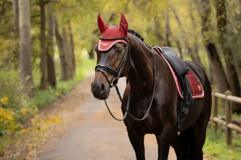 LeMieux Loire Fly Hood - Russet-2