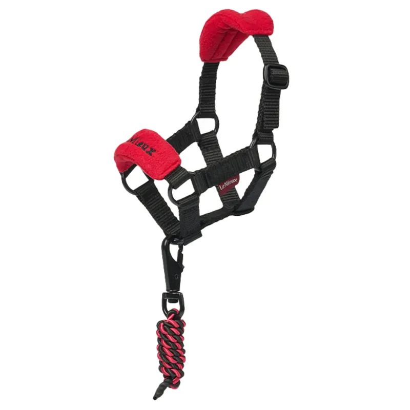 LeMieux Mini Vogue Headcollar and Leadrope - Chilli