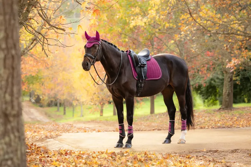 LeMieux Suede Dressage Square - Blackberry-1