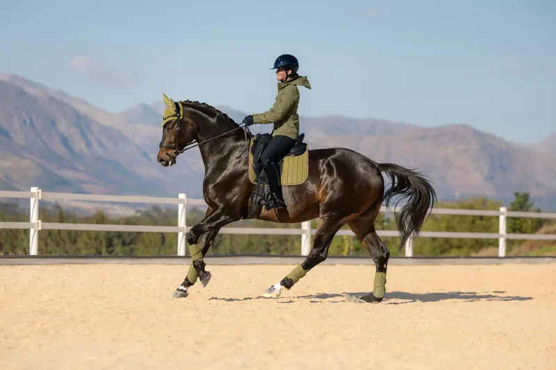 LeMieux Suede Dressage Square - Gooseberry-2