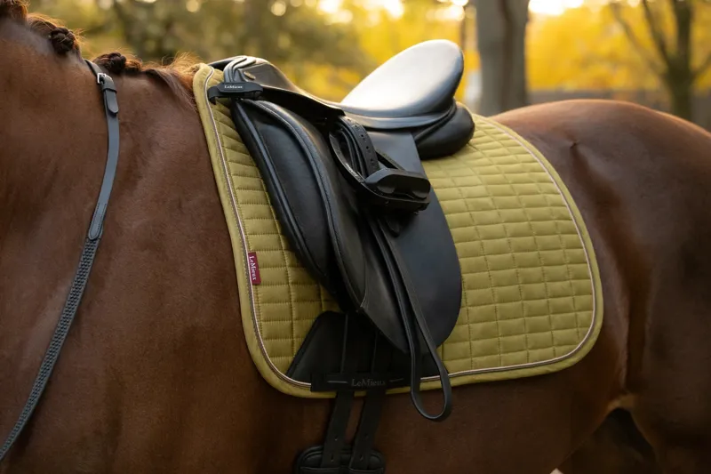 LeMieux Suede Dressage Square - Gooseberry-1