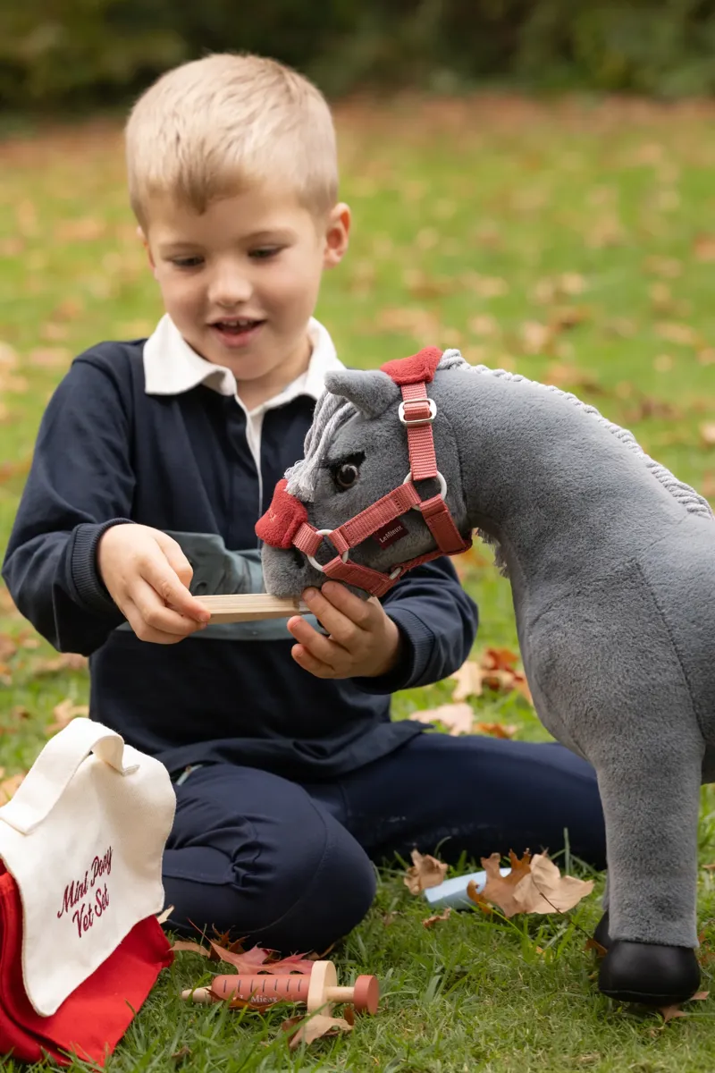 LeMieux Toy Pony Vet Set -2