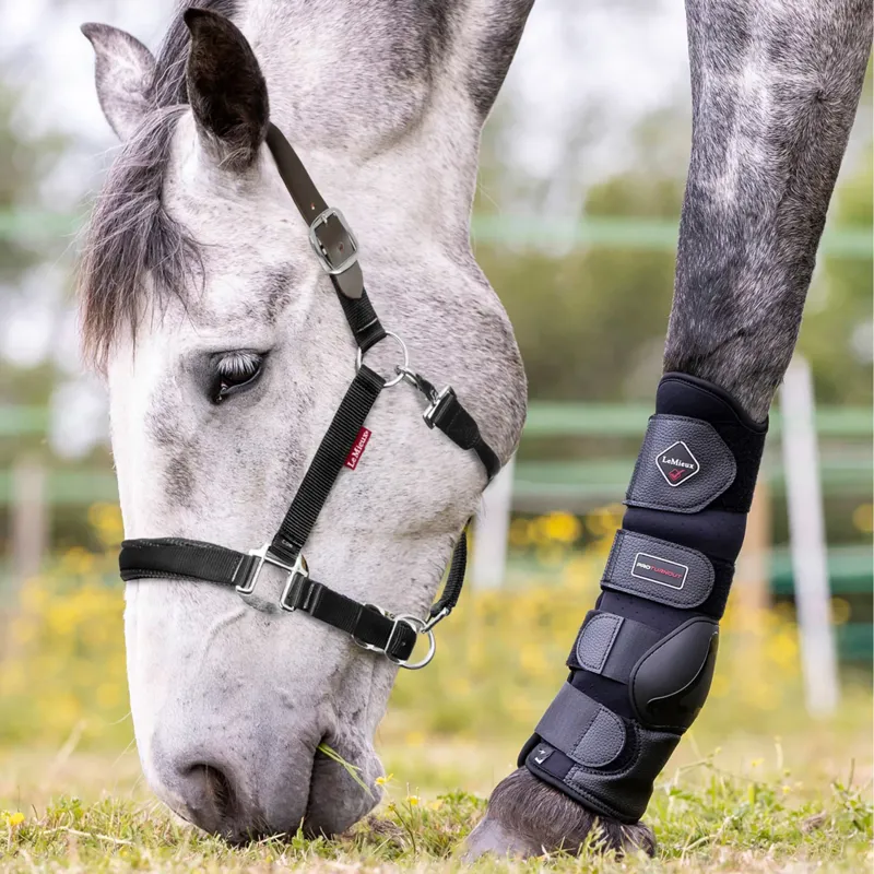 LeMieux Break Away Headcollar - Black/Brown-1