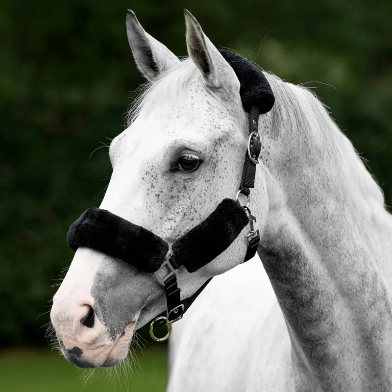 LeMieux Comfort Headcollar - Black-1