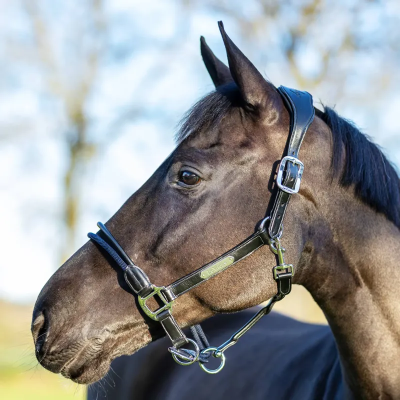 LeMieux Rope Control Headcollar - Black-1