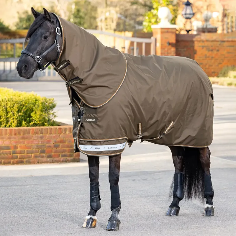 LeMieux Arika Ripstop 0g Turnout Rug - Alpine