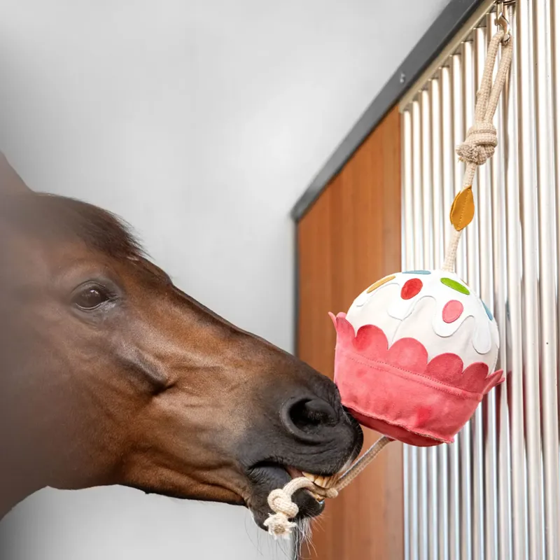 LeMieux Horse Toy - Cupcake -2