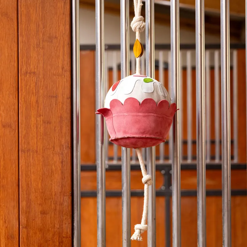 LeMieux Horse Toy - Cupcake -1