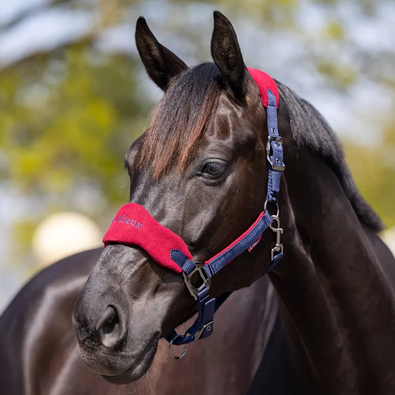 LeMieux Vogue Headcollar and Leadrope - Burgundy-1
