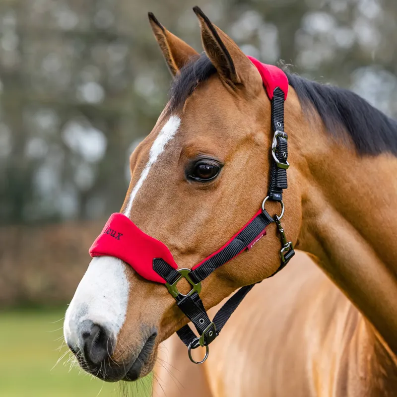 LeMieux Vogue Headcollar and Leadrope - Chilli-1