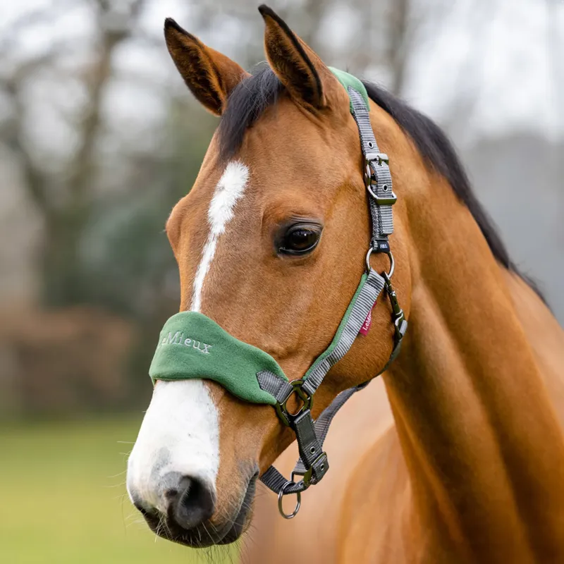 LeMieux Vogue Headcollar and Leadrope - Hunter Green-1