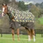 WeatherBeeta ComFiTec Tyro 200g Combo Neck Turnout Rug - Jungle Print