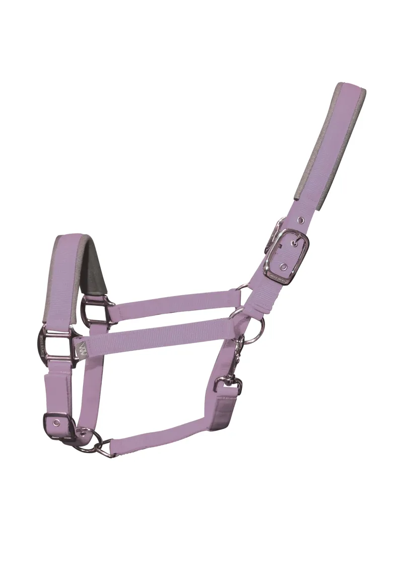 Woof Wear Contour Head Collar - Lilac