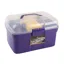 Lincoln Grooming Kit - Purple