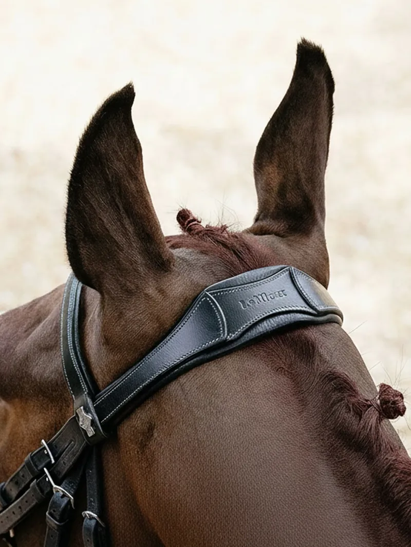 LeMieux Arika Drop Bridle - Brown/Silver-1
