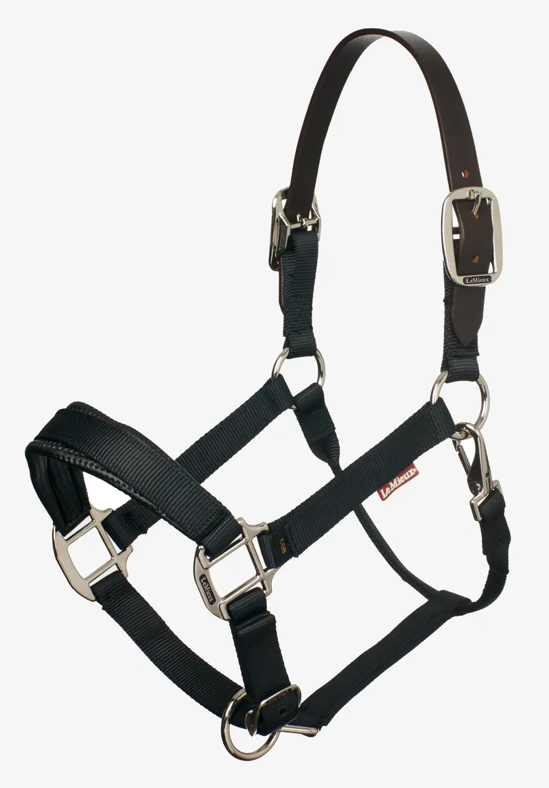 LeMieux FieldFlex Breakaway Headcollar - Black