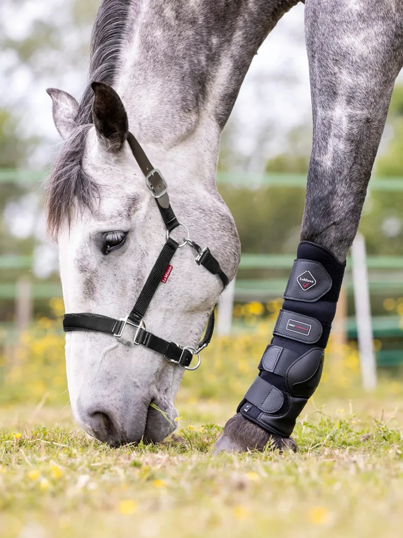 LeMieux FieldFlex Breakaway Headcollar - Black-1
