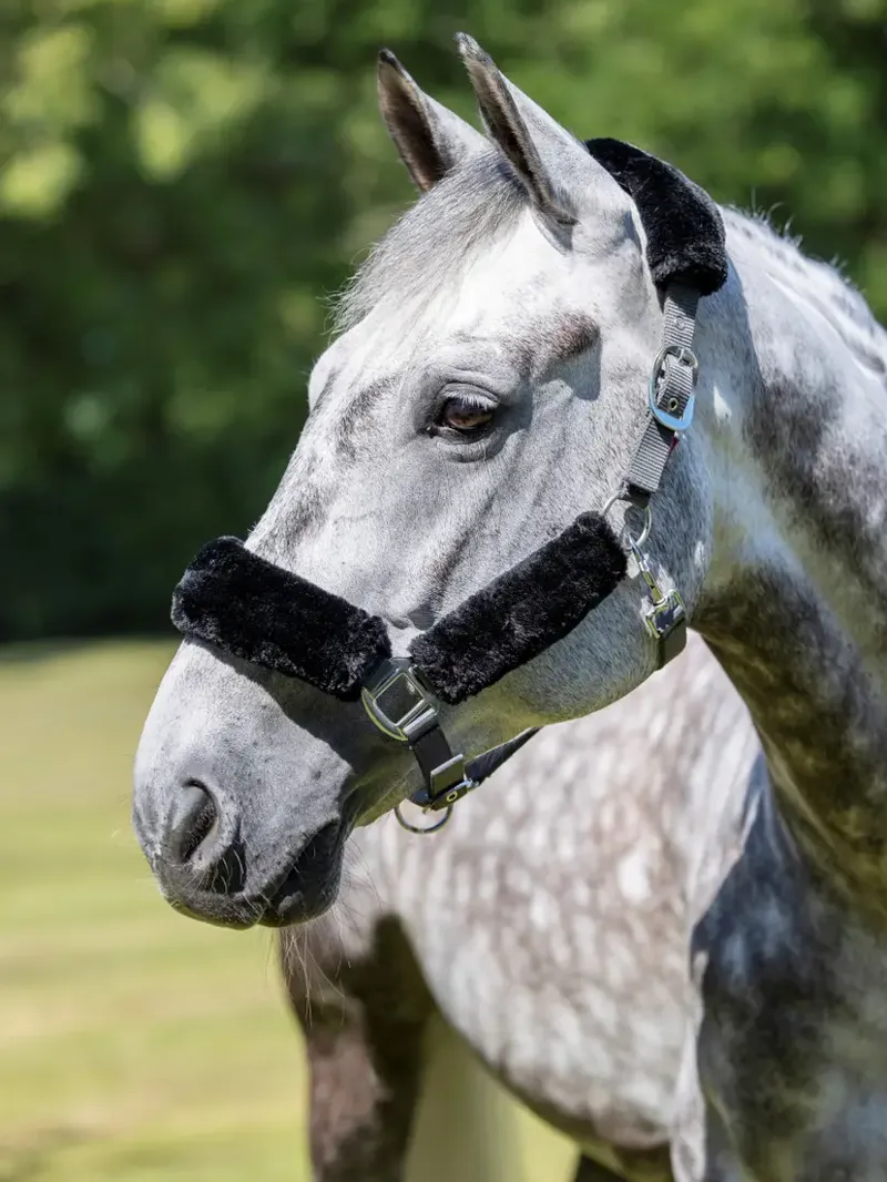 LeMieux Comfort Headcollar - Grey-1