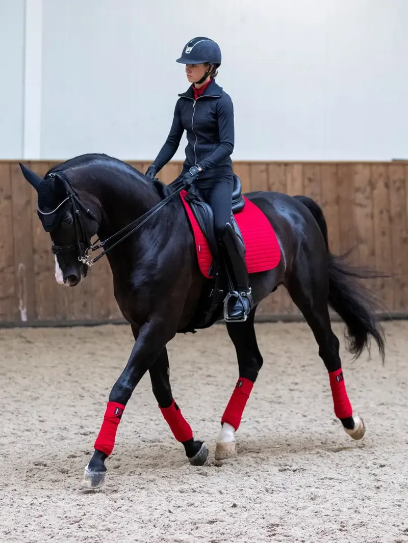 LeMieux Suede Dressage Square - Chilli-1