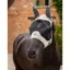 LeMieux Visor-Tek Half Fly Mask - Fern