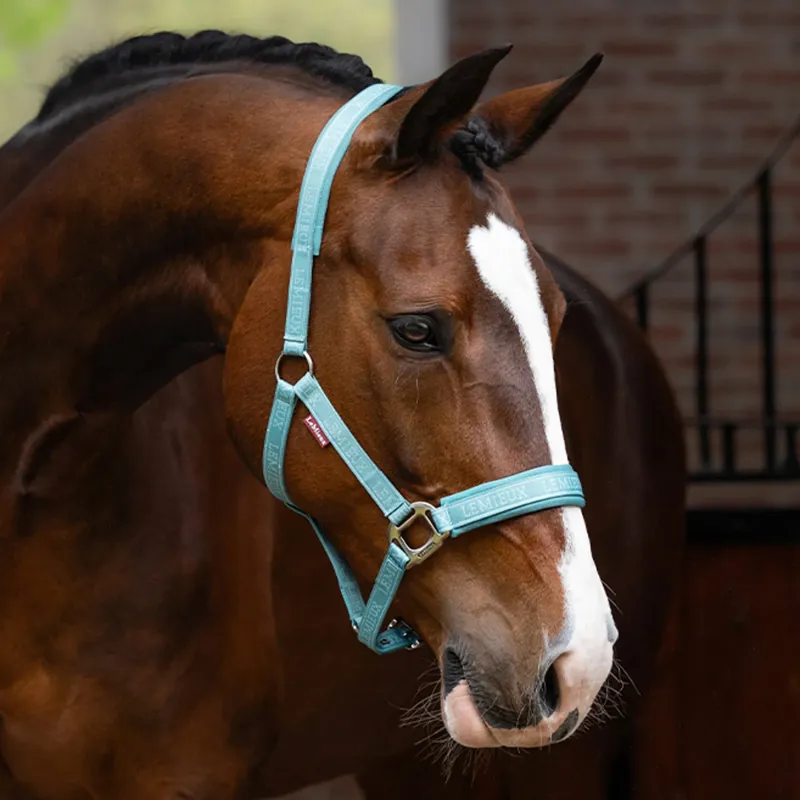 LeMieux Logo Headcollar - Lagoon-2