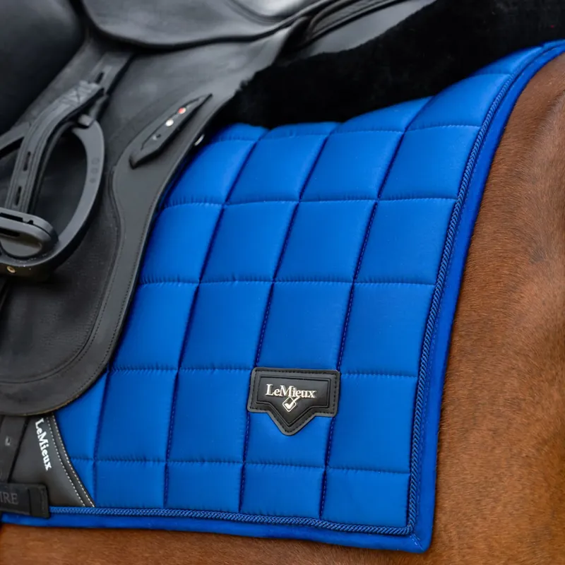 LeMieux Loire Dressage Square - Benetton Blue-1