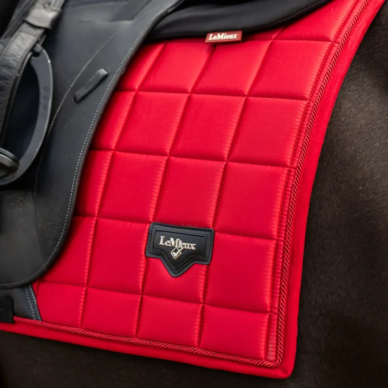LeMieux Loire Dressage Square - Chilli-1