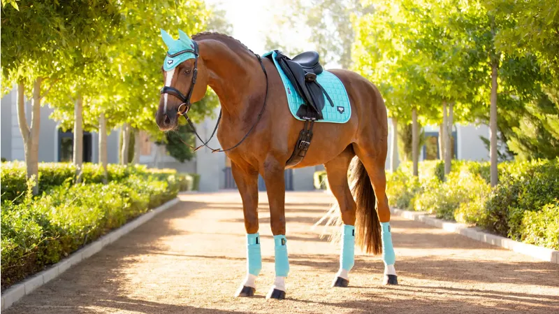 LeMieux Loire Classic Dressage Square - Azure-3