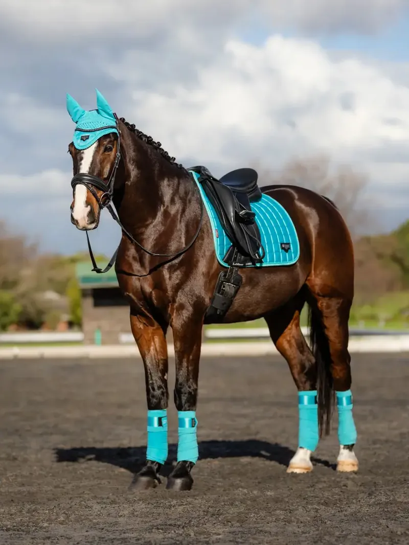 LeMieux Loire Classic Dressage Square - Azure-1
