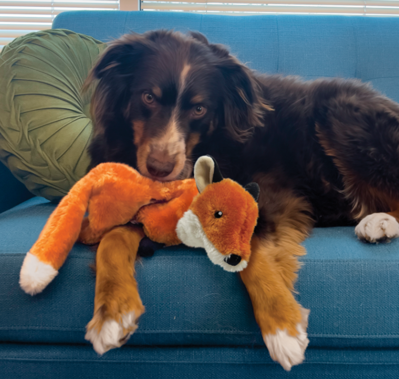 KONG Wild Low Stuff - Fox -2