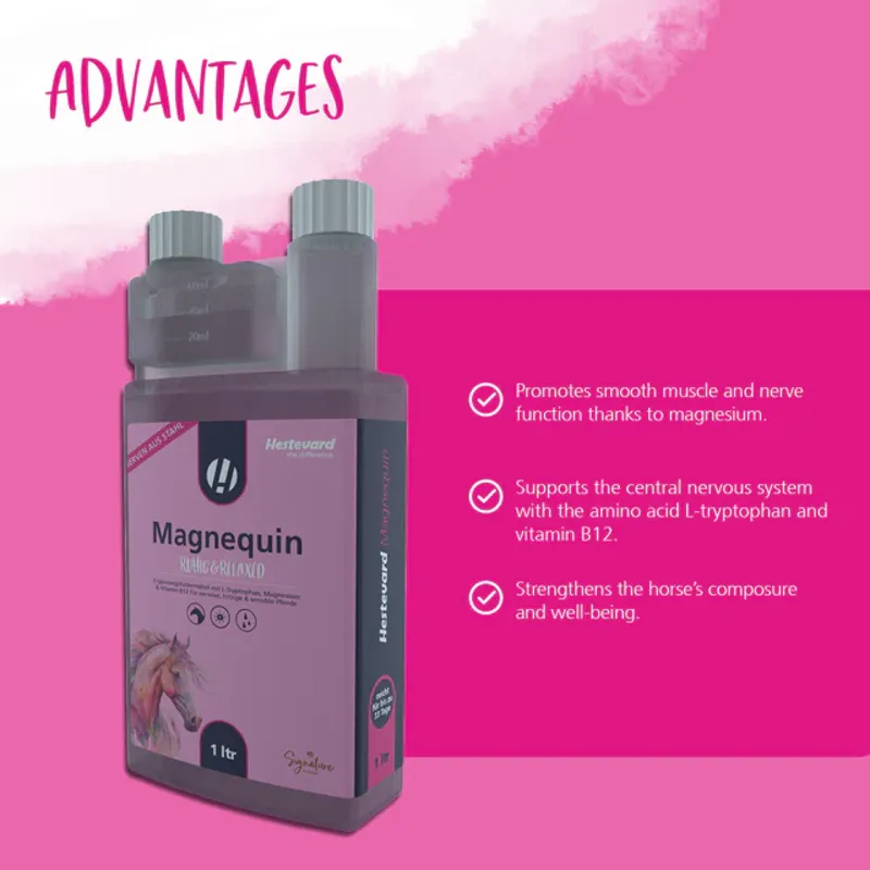 Hestevard Magnequin-1