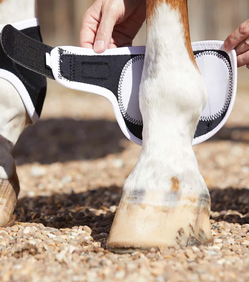 Premier Equine Magni-Teque Magnetic Fetlock Boots - Black-4