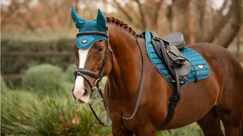 LeMieux Loire Fly Hood - Marine -2