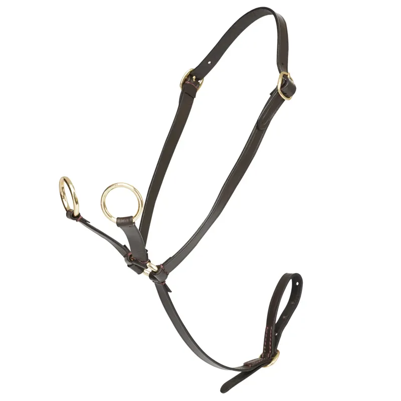LeMieux Toy Pony Martingale - Brown