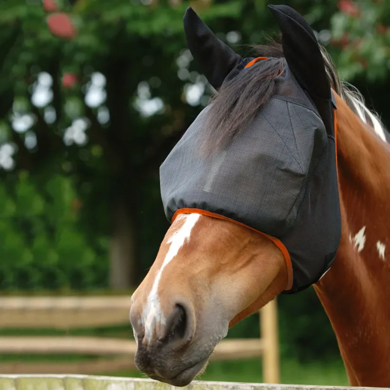 Equilibrium Field Relief Midi Fly Mask with Ears - Black/Orange