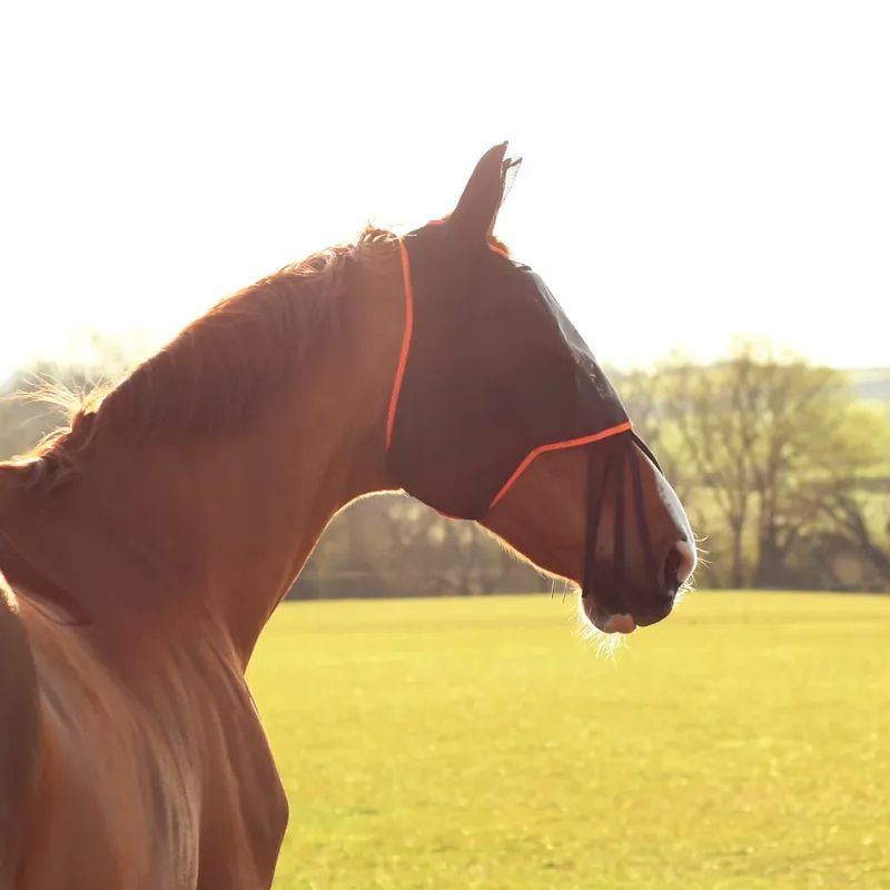 Equilibrium Field Relief Midi Fly Mask with Ears - Black/Orange-2