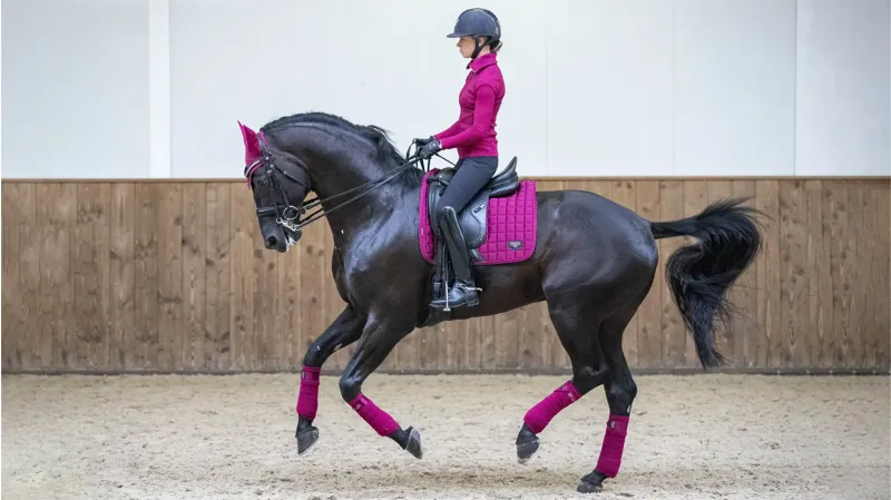 LeMieux Loire Classic Dressage Square - Mulberry-1