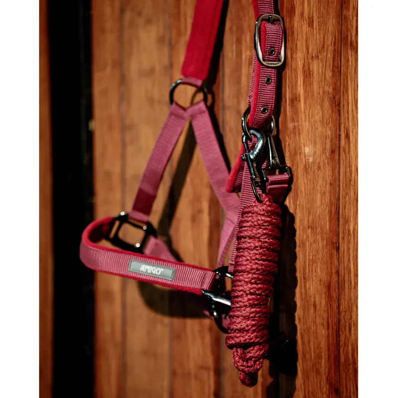 Horseware Amigo Headcollar and Leadrope Set - Mulberry-4