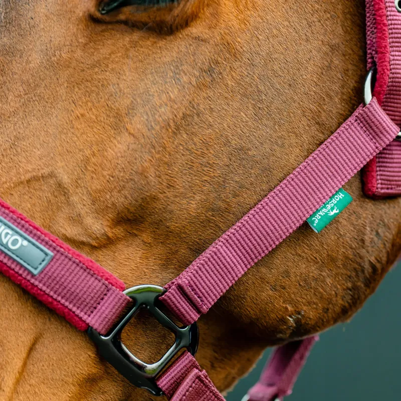 Horseware Amigo Headcollar and Leadrope Set - Mulberry-2