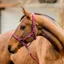 Horseware Amigo Headcollar and Leadrope Set - Mulberry