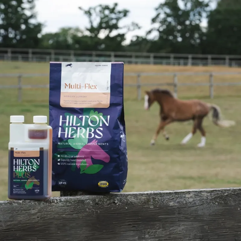 Hilton Herbs Multi-Flex General Health Supplement - 1kg-5