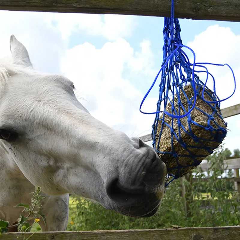 Equilibrium Munch Net Haynet - Blue-1