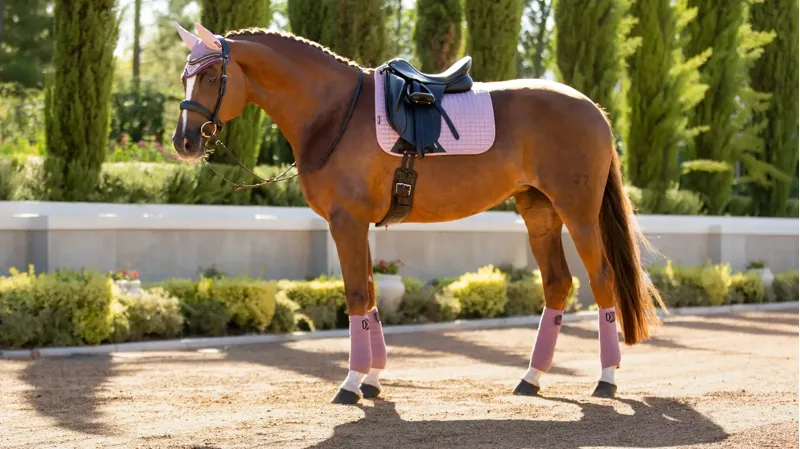 LeMieux Suede Dressage Square Saddle Pad - Musk-3