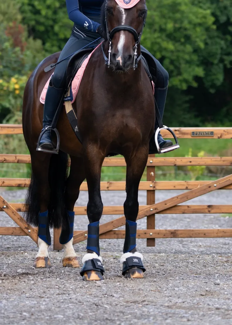 Woof Wear Club Brushing Boot - Navy-1